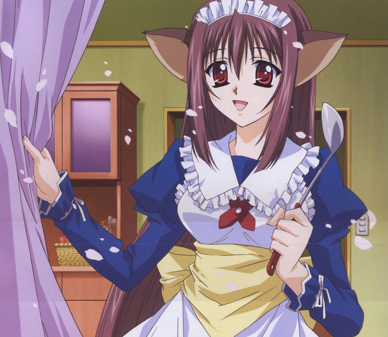 Мэдэхийн аргагүй өхөөрдөм 40 шилдэг анимэ муур охид - All Things Anime
